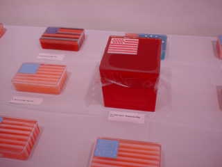 YAN KONG "Stars and Stripes"
