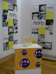 Ary Roncaglia, Aripo Project