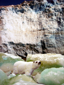 Yan Kong, Baked Alaska, Iceberg