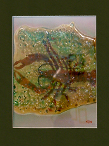 Yeachin Tsai, Lobster
